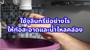จุลินทรีย์กำจัดกลิ่น อะไรบ้าง ที่นิยมใช้ บำบัดน้ำเสีย กลิ่นท่อเหม็น