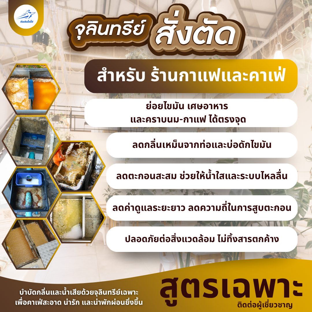 จุลินทรีย์บ่อดักไขมันร้านกาแฟ <br> ทางออกแก้กลิ่นและท่อตันในคาเฟ่ <br> <br> <br> <br> <br>