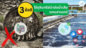 3 ข้อดีของการใช้จุลินทรีย์บำบัดน้ำเสีย แทนสารเคมี