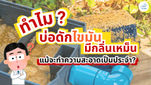 ทำไม บ่อดักไขมัน ถึงมีกลิ่นเหม็น แม้จะทำความสะอาดเป็นประจำ?
