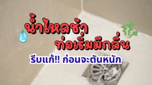 น้ำไหลช้า ท่อเริ่มมีกลิ่น รีบแก้ก่อนจะตันหนัก ด้วยจุลินทรีย์บำบัดน้ำเสีย